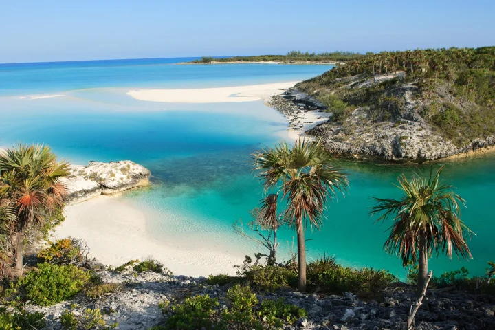 bahamas_exuma_sea-rark_l.webp