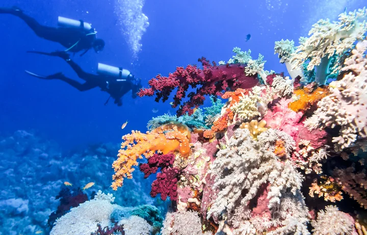 belize_barrier-reef_625161290_l.webp