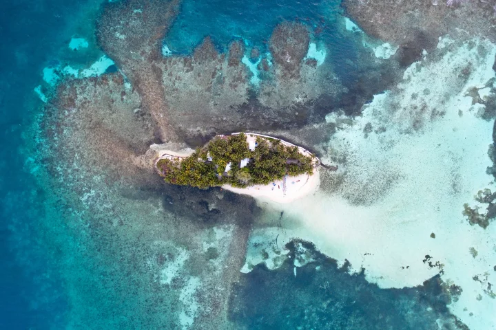 belize_-ranguana_1505628464_l.webp