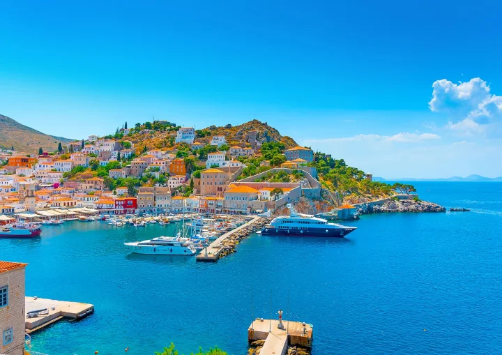 hydra-shutterstock_169878686.webp
